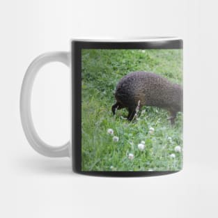 Azara`s Agouti Mug